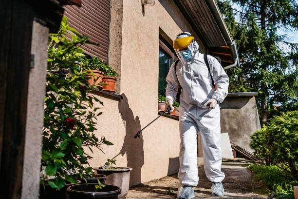 Best Insect Control  in Sylvania, AL