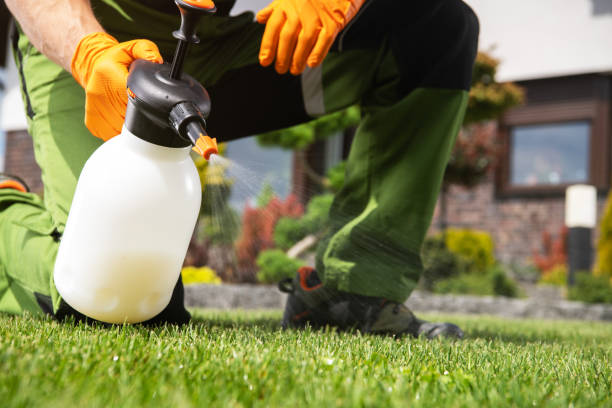 Best Wildlife Control Services  in Sylvania, AL