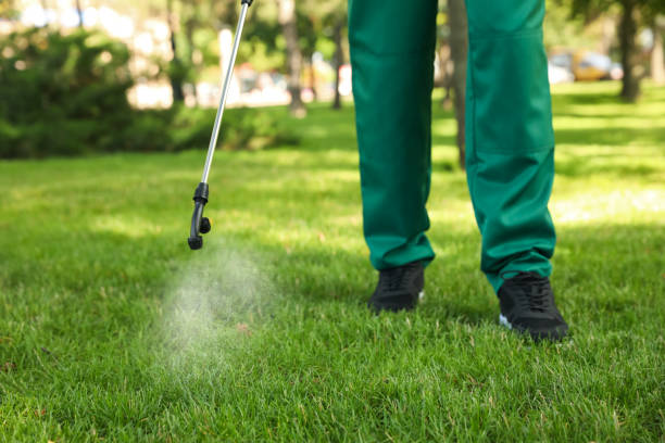 Best Termite Control Services  in Sylvania, AL
