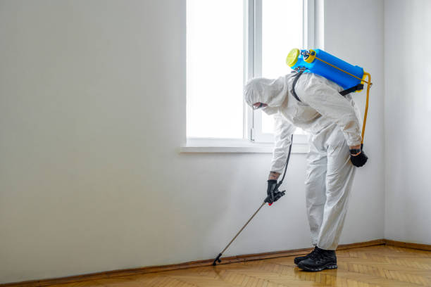Trusted Sylvania, AL Pest Control Experts