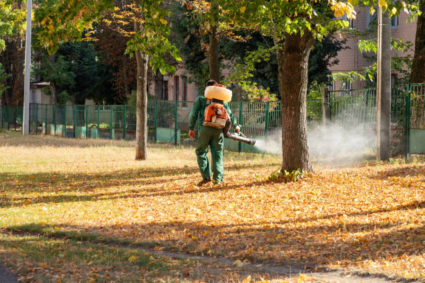Best Local Pest Control Services  in Sylvania, AL