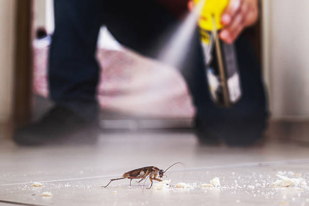 Best Pest Removal Services  in Sylvania, AL
